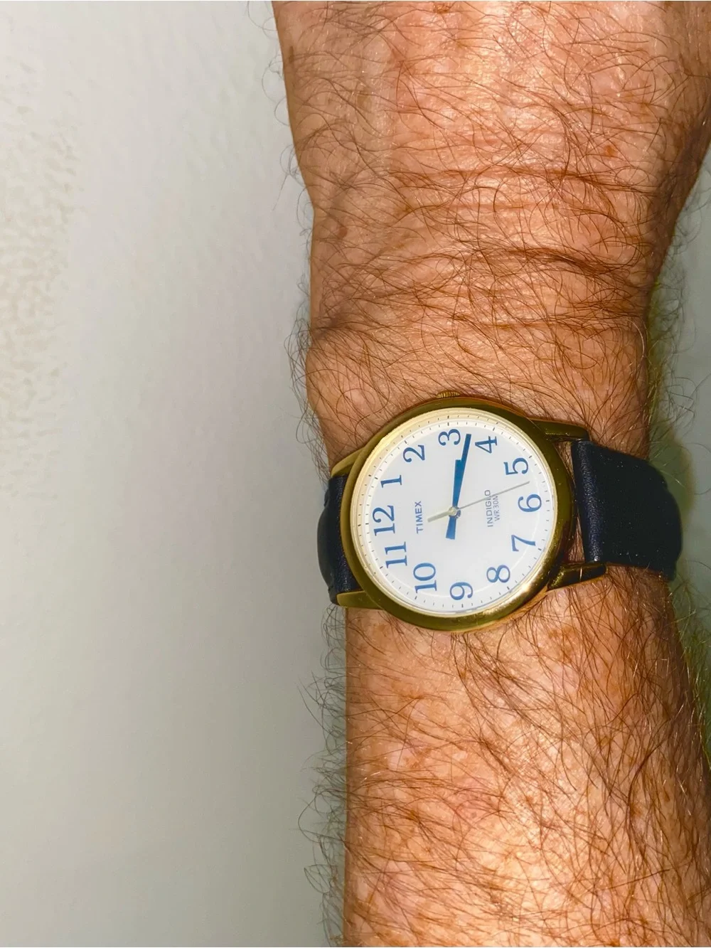 Timex Unisex  Indiglo Easy Reader Gold Case Watch with Black Strap